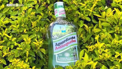 Meros tesos! La FLA es la primera licorera en Sudamérica que obtiene un sello de Carbono Neutro