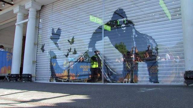 New Banksy animal artwork appears at London Zoo gates