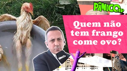 É SÓ NO NOSSO! HERÓI DO BRASIL FOI BISBILHOTAR PREÇO DO FRANGO NA FEIRA DO NABO