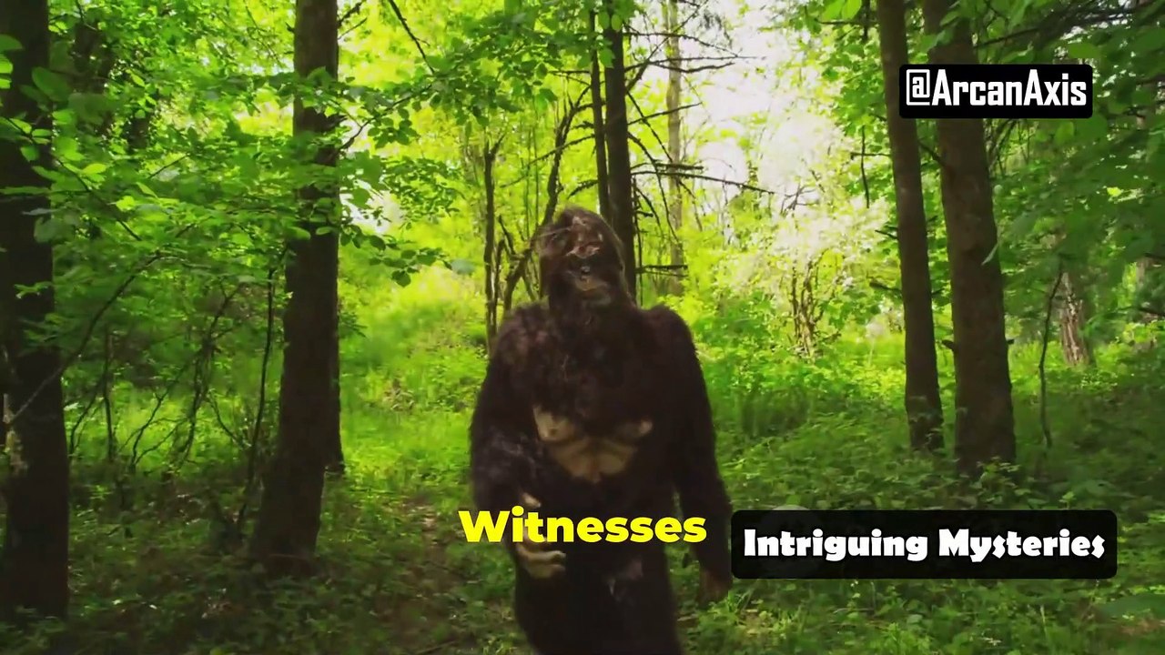 Mysterious Creatures of North America: Legends and Sightings