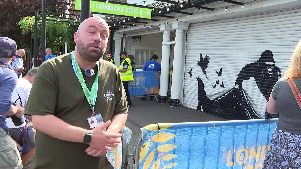 Banksy conclui série de pinturas com animais em...