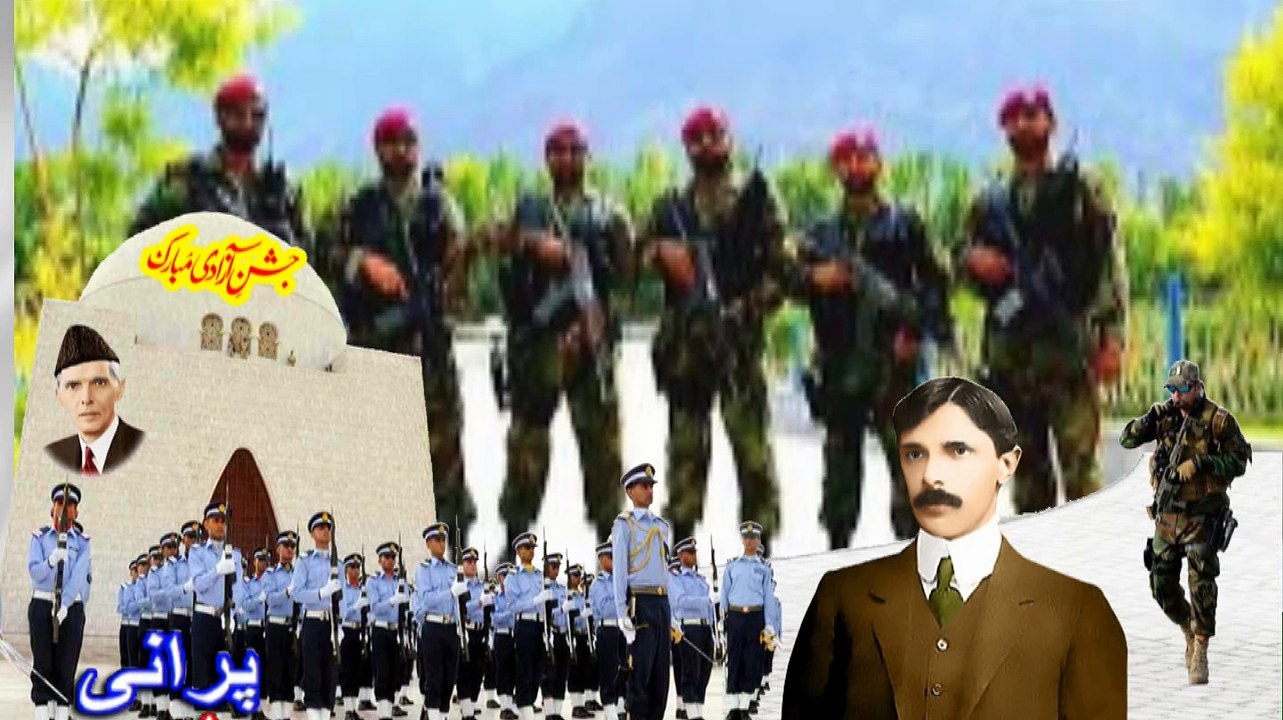 Tu Bhi Pakistan Hai, Main Bhi Pakistan Hoon, New Song 2024