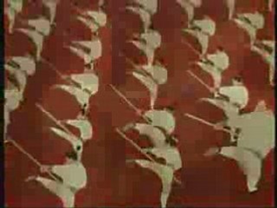 Jackie Chan Mulan Video