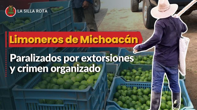 Extorsiones y crimen organizado paralizan producción limoneros de Michoacán
