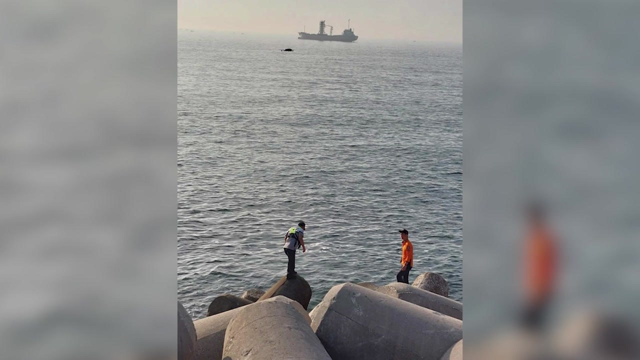 강원 동해시 묵호 앞바다 실종 80대 관광객 숨진 채 발견 / YTN