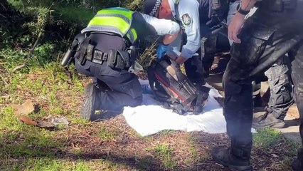 Police arrest man in Wanniassa arrest