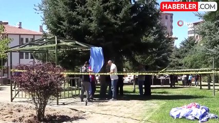 Parkta korku dolu anlar: Bunalıma giren şahıs kendisini kamelyaya astı