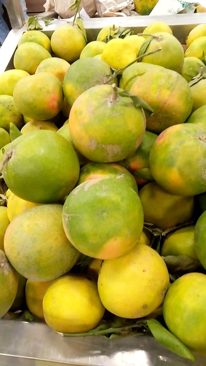Fruits everywhere