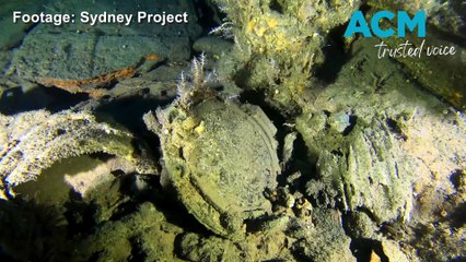 Diving the wreck of the SS Bega, and the importance of studying sunken history