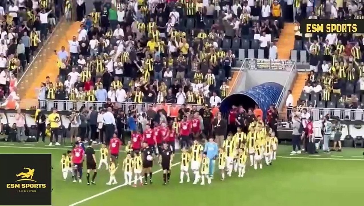 Fenerbahçe vs Lille 1-1 Highlights And Goals- Champions League 2024
