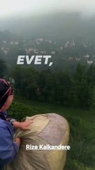 Ana sen daha Çay Yuvarlama