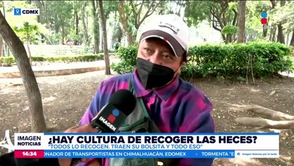 ¿Las personas recogen las heces de sus perritos?