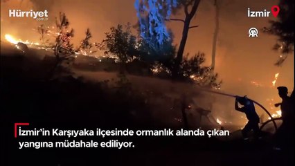İzmir Karşıyaka'da orman yangını