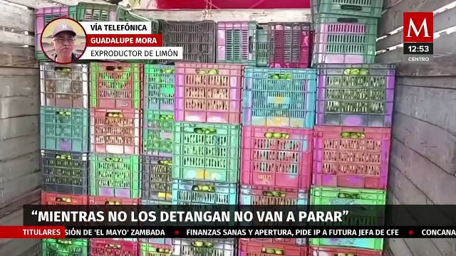 Guadalupe Mora afirma que 'Los Viagras' están detrás de extorsiones a limoneros en Tierra Caliente