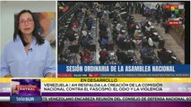 Asamblea Nacional debatió paquete de leyes contra el fascismo