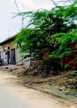 Old culture of Punjab village pind Punjab dey very unique village