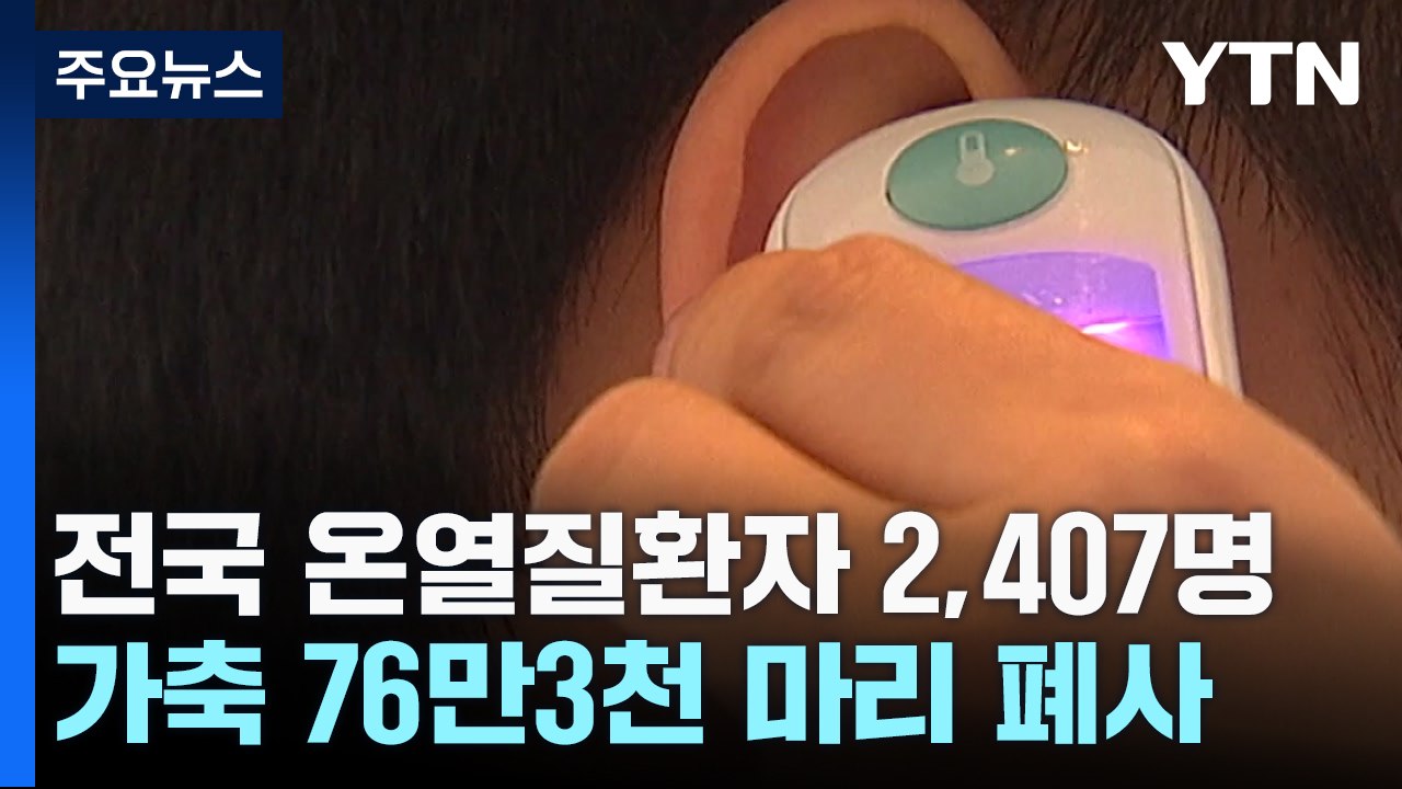 전국 온열 질환자 2,407명...가축·수산물 171만 마리 폐사 / YTN