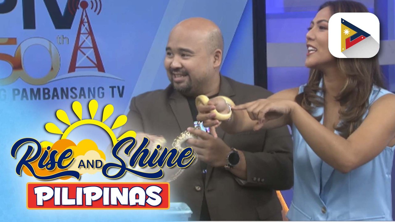 Paano ang tamang pag-aalaga ng ball python?