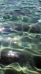 The beautiful sound of ocean waves is very soothing