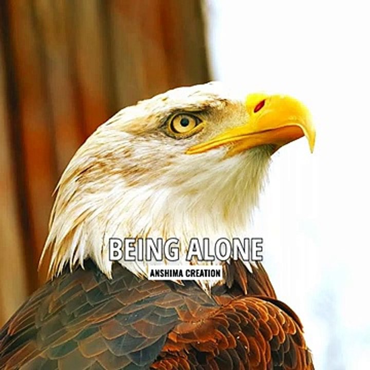 Eagle Attitude status  whatsapp status  Being Alone is Power  #attitude #anshimacreation #shorts