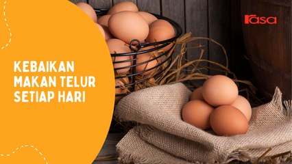 Kebaikan Makan Telur Setiap Hari