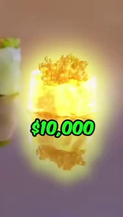 Feeding A Cat $10 Vs $10,000 Sushi