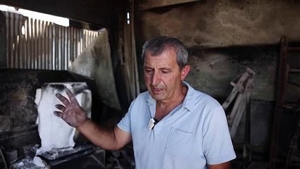 'I'll build it again': Greek sculptor on his fire-gutted studio