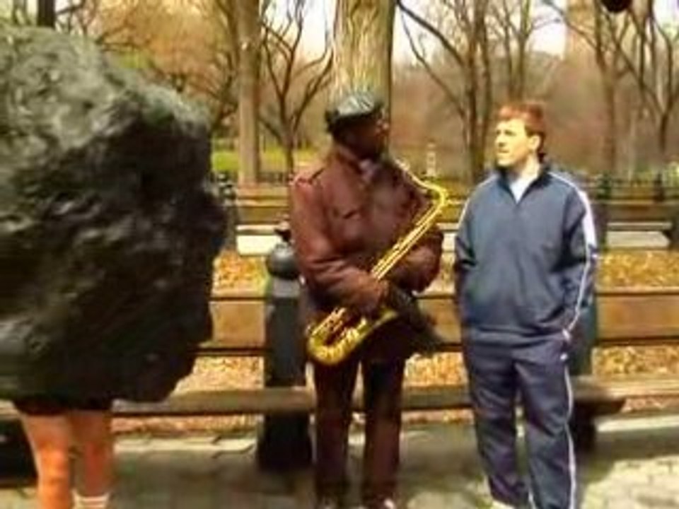 Central Park, NYC - Environmentally Friendlier Cleaner Coal