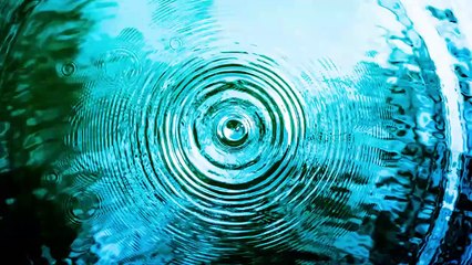 Your brain doesn’t detect reality. It creates it. -