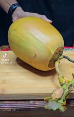 Namaz importance in islam