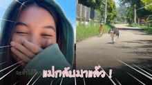 ไม่ได้กลับบ้านเกือบเดือน คิดถึงที่สุดเลยเจ้าตูบสุดที่รัก...