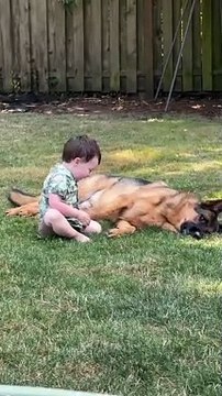 Funny Clip #dailymotion #funny #clip #viral #fyp #smile