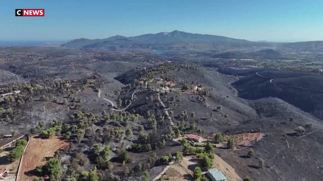 Incendies en Grèce : le secteur touristique à l'épreuve des feux