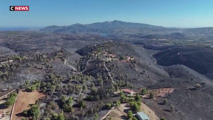 Incendies en Grèce : le secteur touristique à l'épreuve des feux