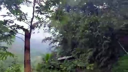 view pemandangan