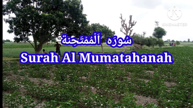 Surah Al Mumatahnah | quran recitation | Tilawat e Quran pak | bubak learn quran |