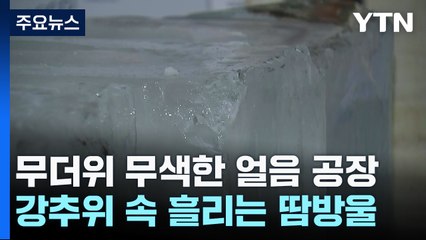 바깥은 한여름 더위가 한창인데 여기는 '겨울 왕국' / YTN