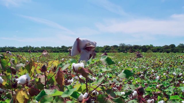 Miłosc mojego zycia-06