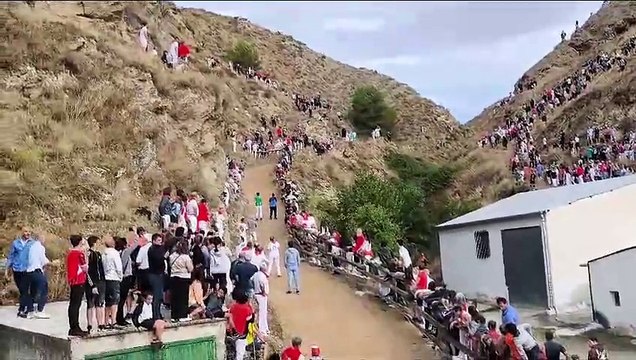Cuarto encierro del Pilón de Falces 2024