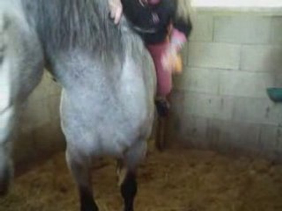 Perle - révérences