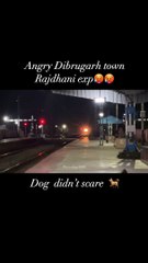 Dibrugarh Rajdhani at 130 kmph #dibrugarh #rajdhani #new #today #viral #trending