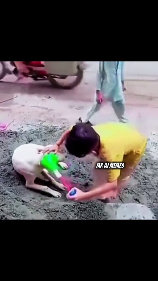 Funny memes.