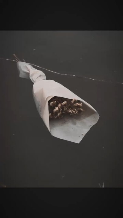 Je suis désolée ❤️‍