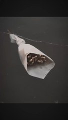 Je suis désolée ❤️‍