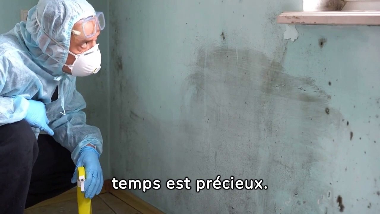 entreprise de traitement d'humidité à  Puttelange-aux-Lacs - Soshumidite -