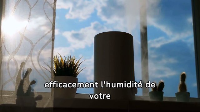 entreprise de traitement d'humidité à Bourbonne-les-Bains - Soshumidite -