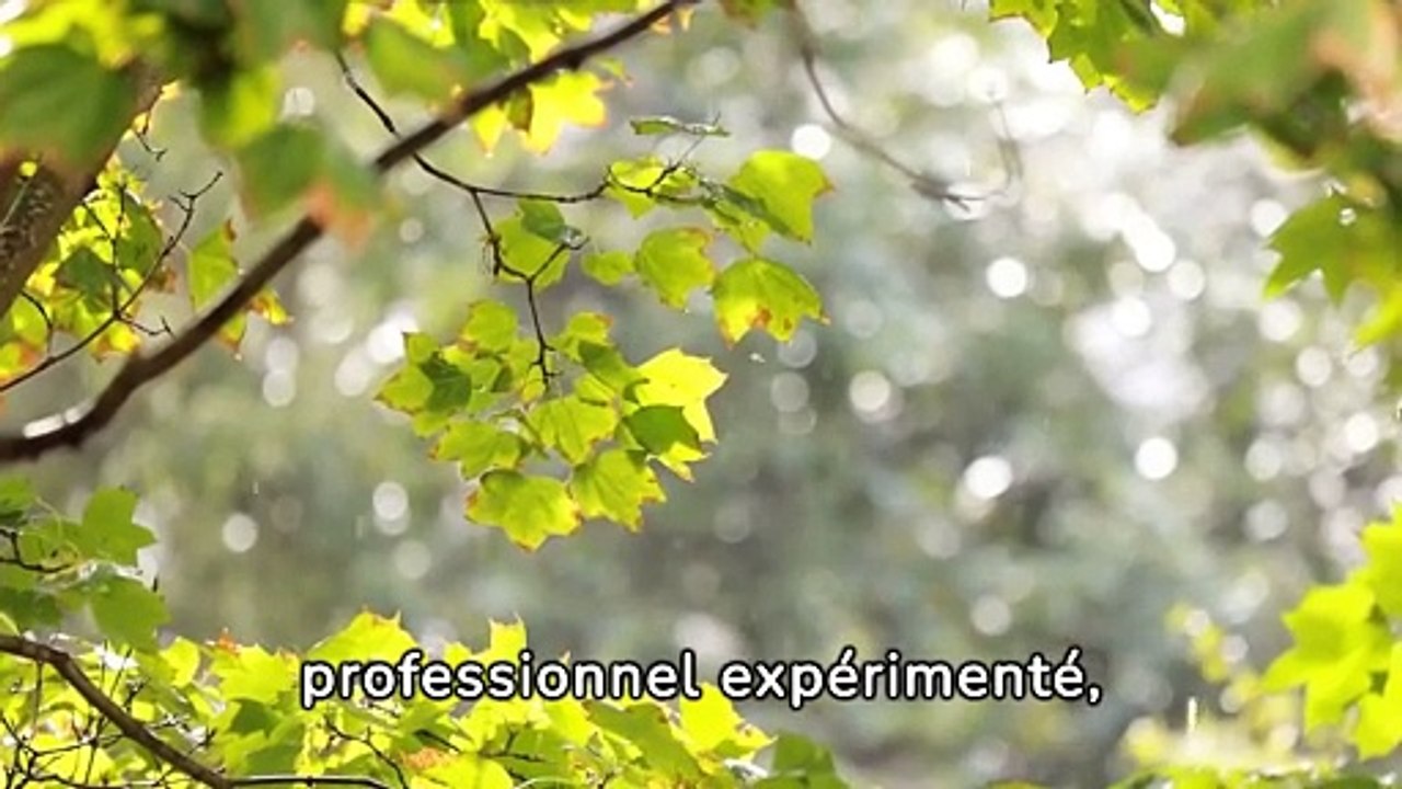 entreprise de traitement d'humidité à Baldersheim  - Soshumidite -