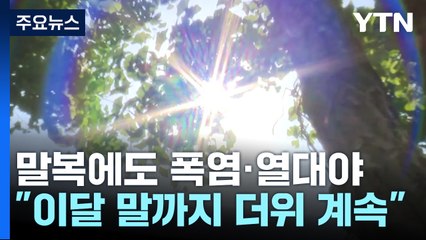 [날씨] 폭염·열대야 비 와도 못 꺾어...절기 '처서' 이후 계속 / YTN