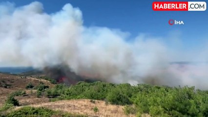 Bozcaada'da ziraat alanında yangın