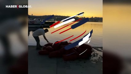 Üsküdar'da 1 ton kaçak midye ele geçirildi